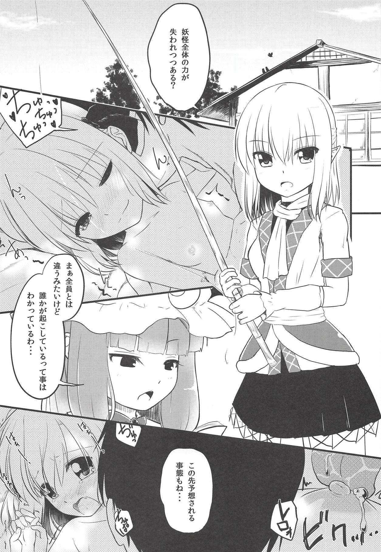 (例大祭13) [わっしょい☆工房 (速水桜)] 妖怪少女の愛しかた3 (東方Project)