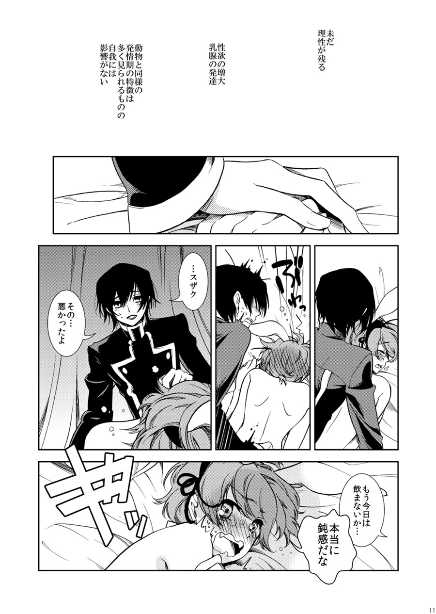 [クリスチーネ (てしお)] ドロッセルマイヤーの宝石箱 (コードギアス 反逆のルルーシュ) [DL版]