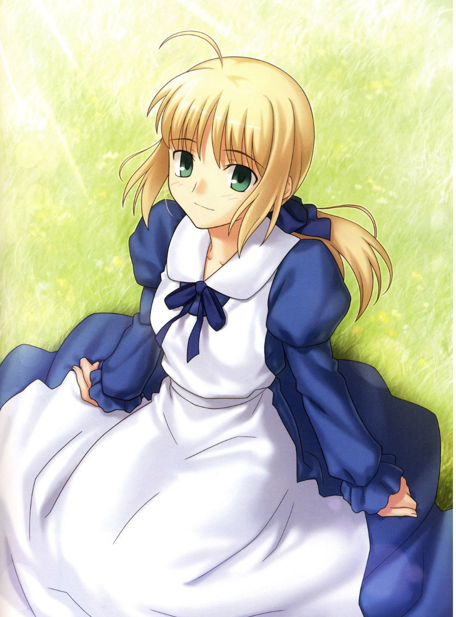 [TYPE-MOON (Takeuchi Takashi)] Fate stay nigh saber Avalon(fate stay night)t(chinese)