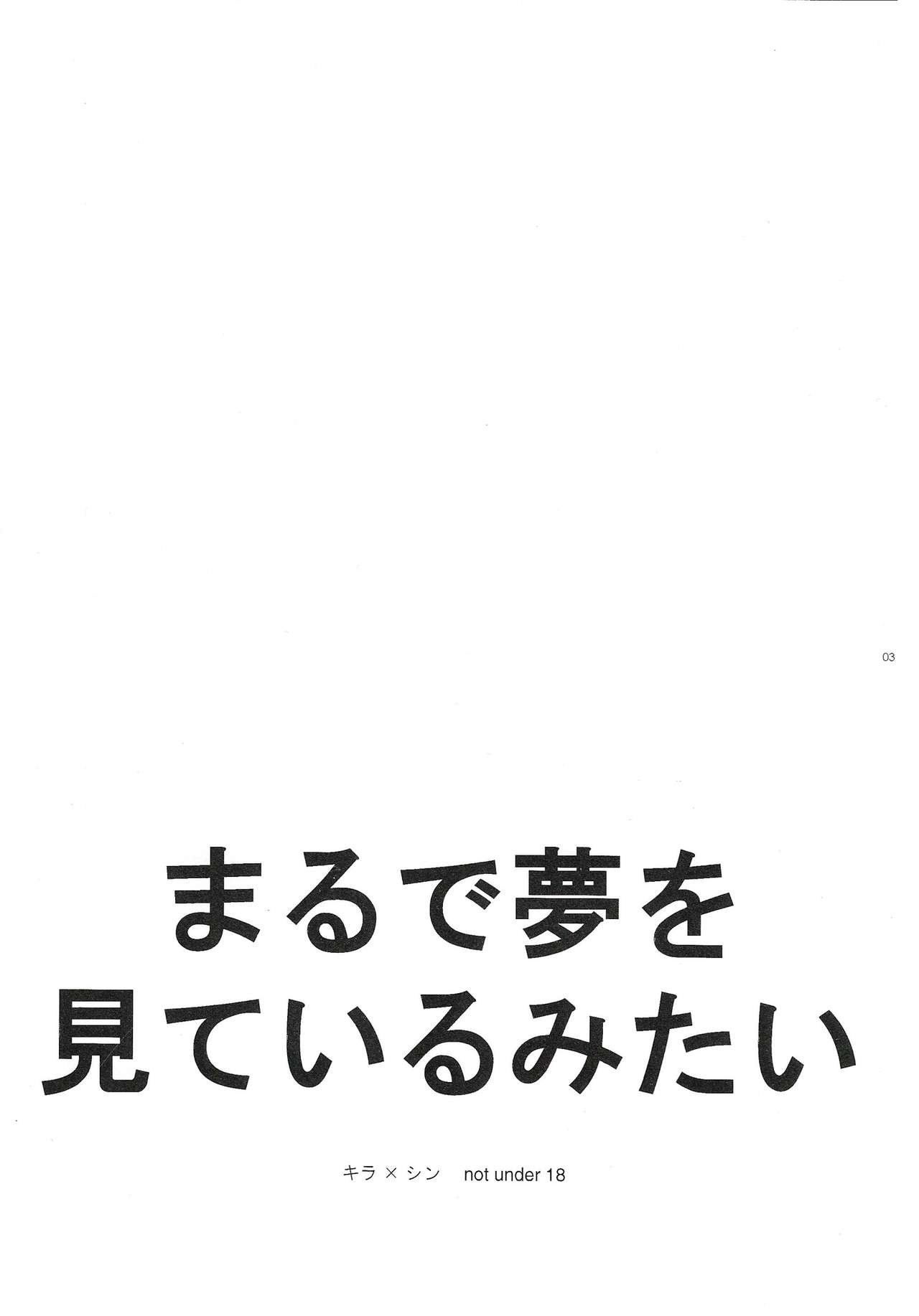 (SUPER16) [NEO-de (夏坂)] まるで夢を見ているみたい (機動戦士ガンダムSEED DESTINY)