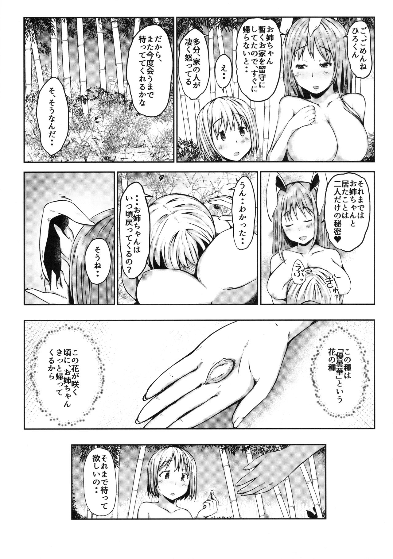 (C90) [田舎の野菜屋 (はぶらえる)] 此岸の記憶 (東方Project)