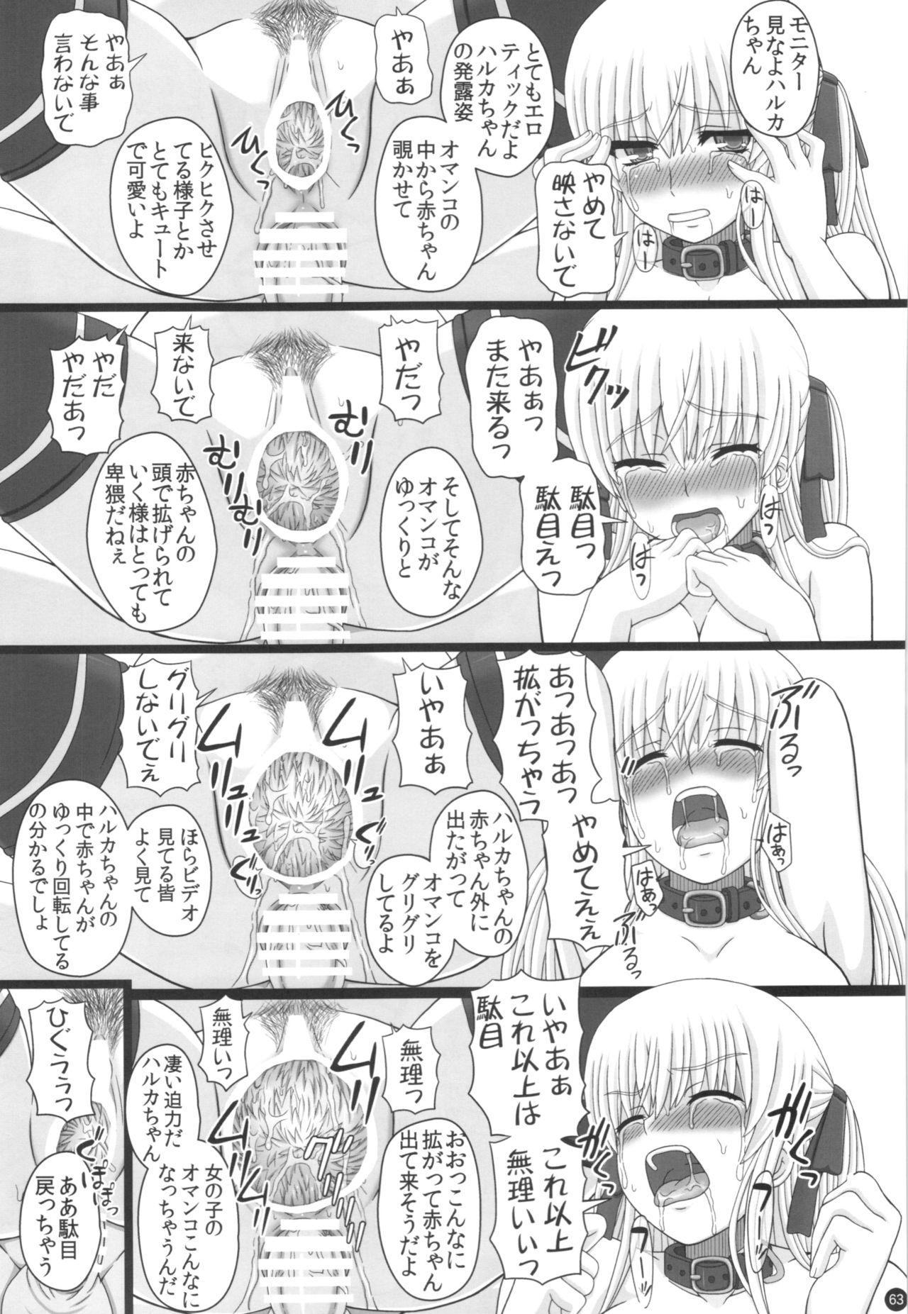 【しわせ京和国（しわせのカタチ）】片しぶ40集