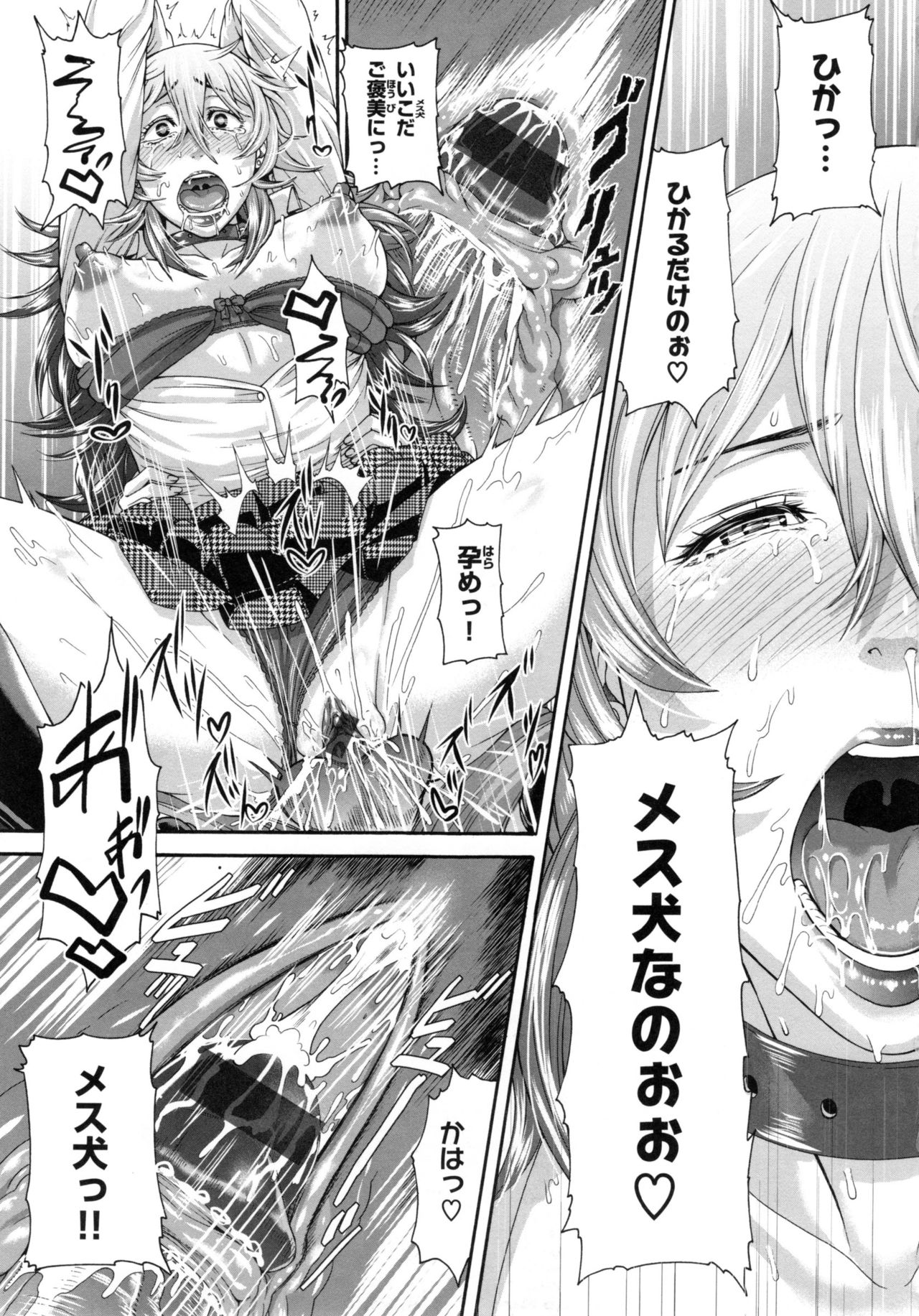 [空巣] メスはめイキぞめ + とらのあなリーフレット