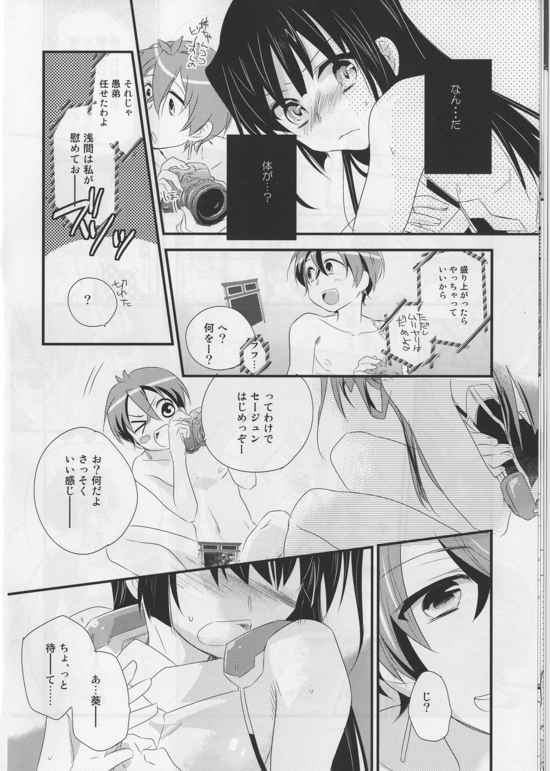 (COMIC1☆6) [ABLISS (迷)] そんなセージュン (境界線上のホライゾン)