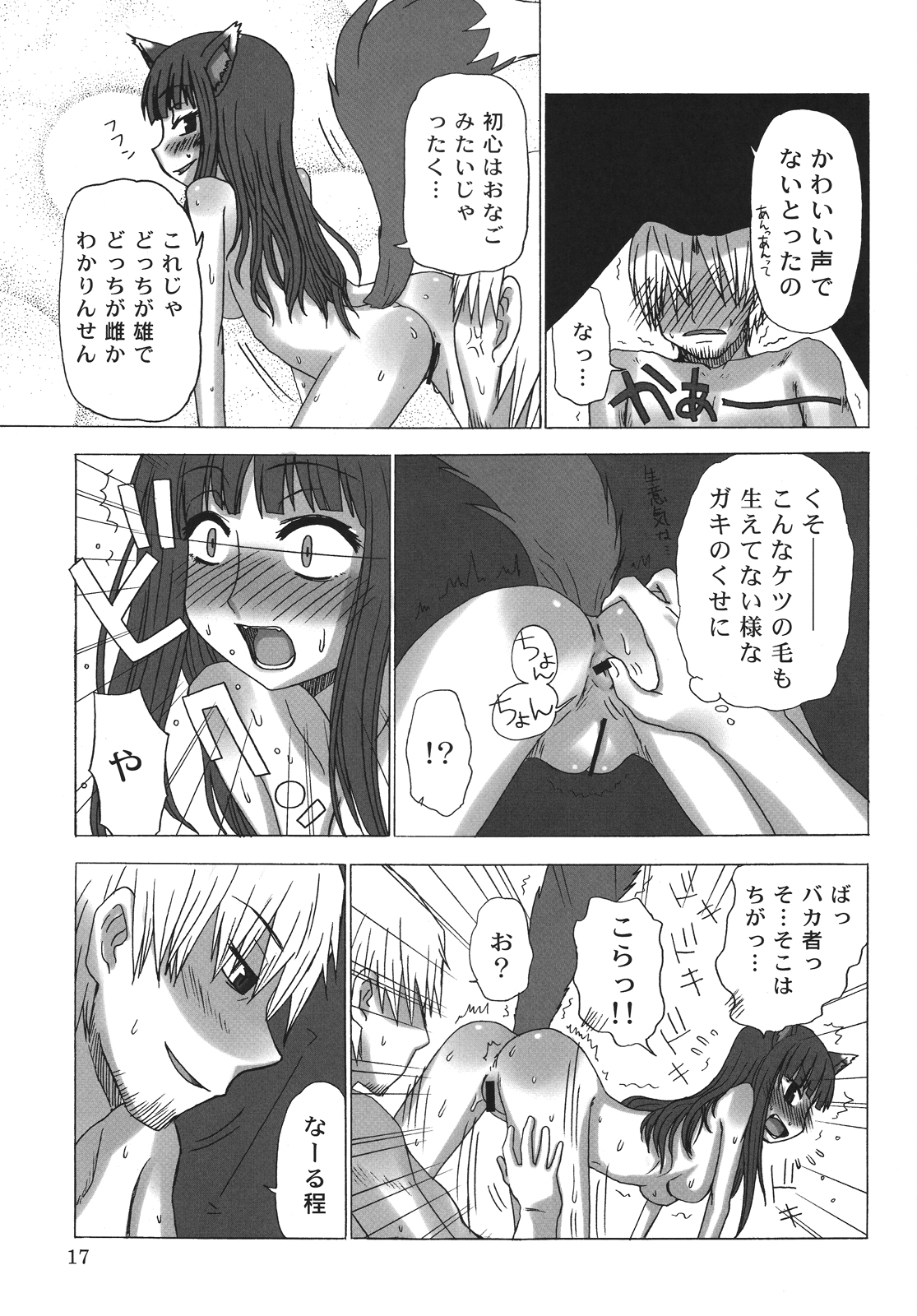 (COMIC1☆2) [サナダジルシ (サナダ)] 晴れたら満月とちゃいますのん? (狼と香辛料)