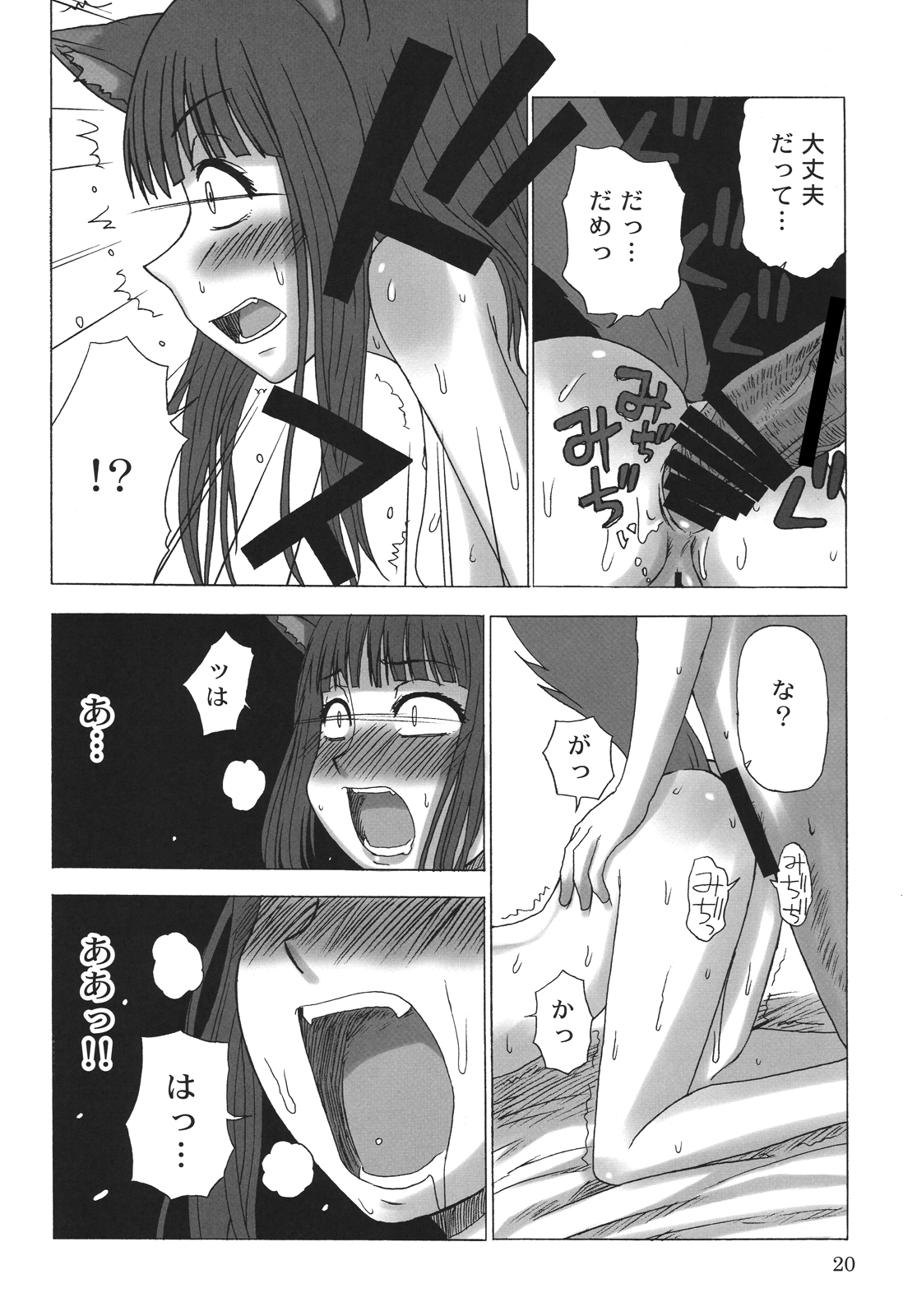 (COMIC1☆2) [サナダジルシ (サナダ)] 晴れたら満月とちゃいますのん? (狼と香辛料)