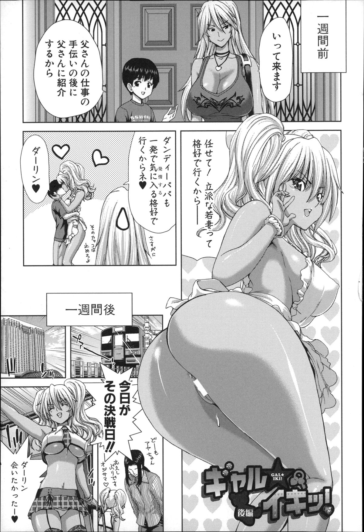 [堀博昭] メスオチZ ～強制妊活配合図鑑～ + 8P小冊子