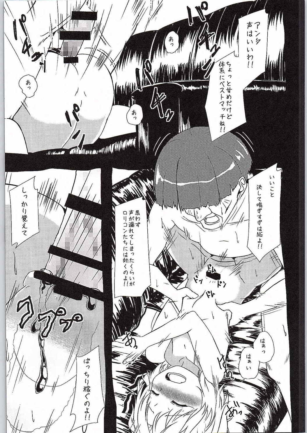 (紅楼夢10) [わっしょい☆工房 (速水桜)] 私の運命 (東方Project)