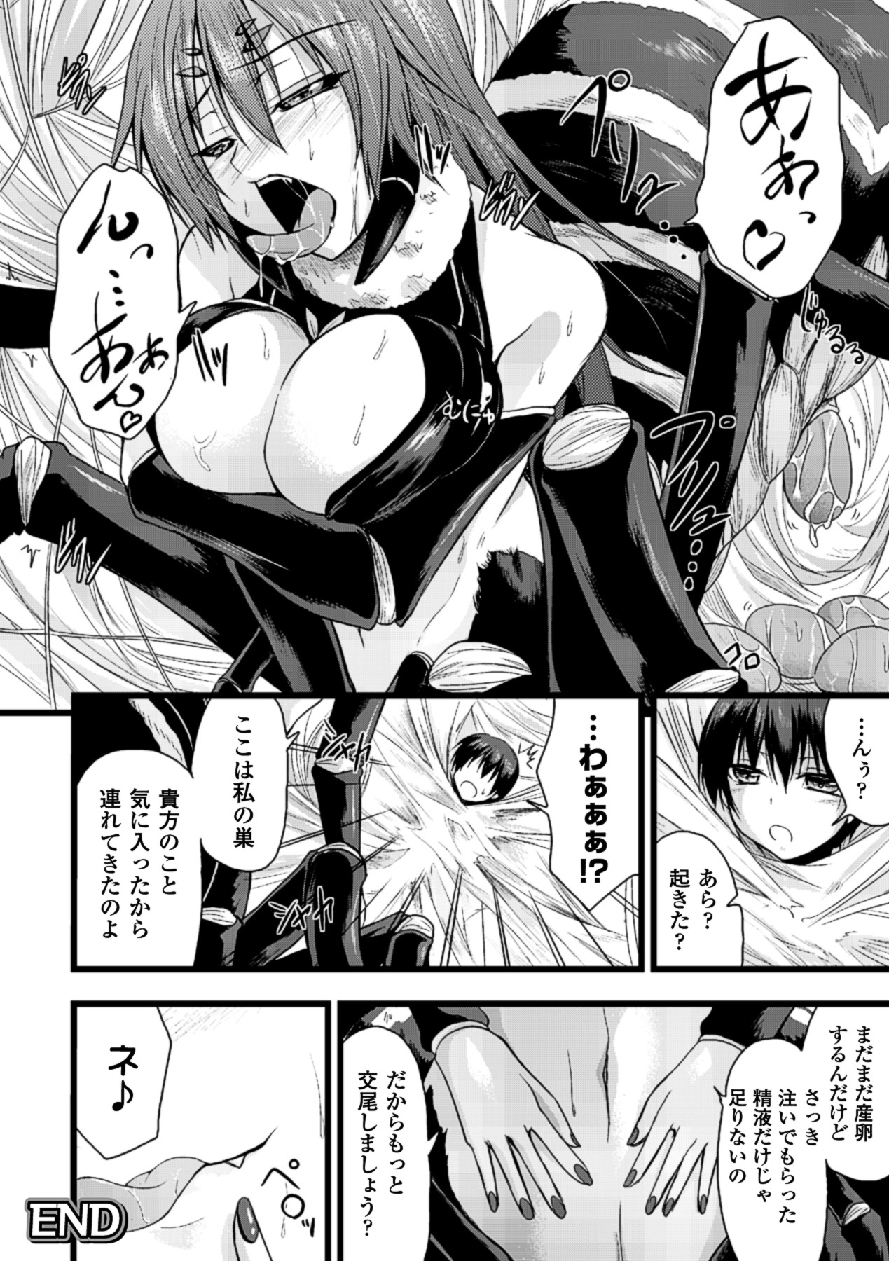 [アンソロジー] 別冊コミックアンリアル モンスター娘パラダイス Vol.4 [DL版]