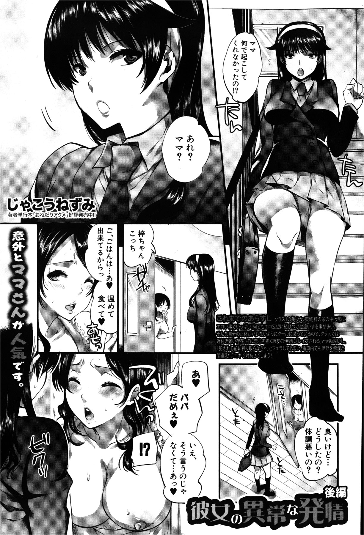 COMIC 真激 2013年2月号