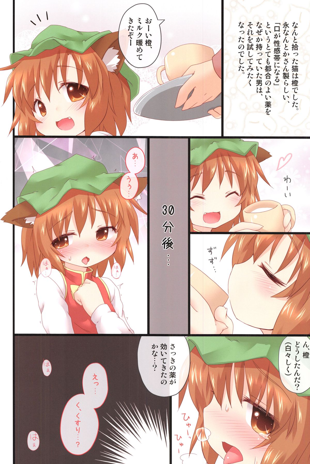 (例大祭9) [がいなもん (夏の紅茶)] 道端で猫を拾いました。 (東方Project)