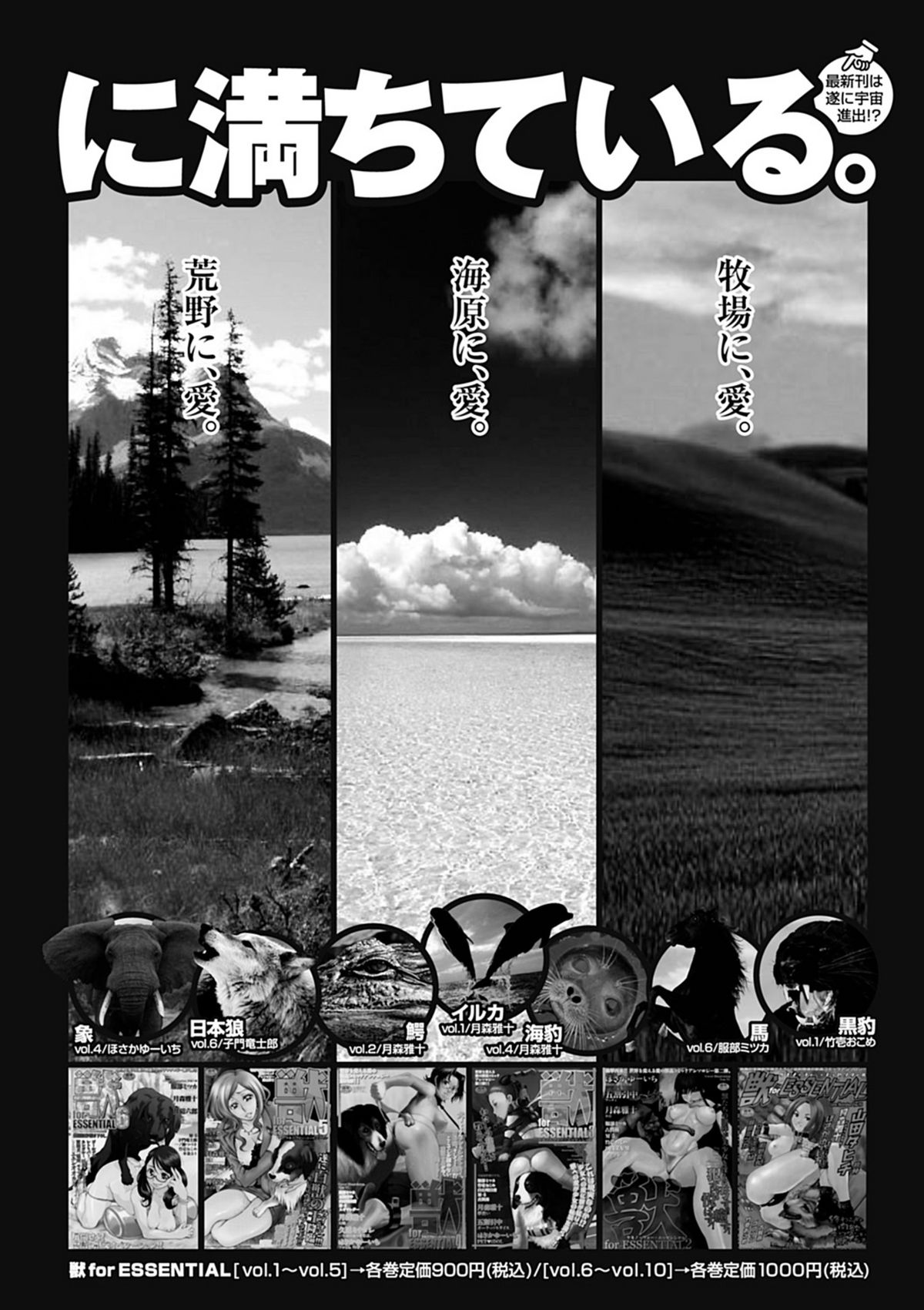 美少女革命 極 Road 2012-08 Vol.2 [DL版]