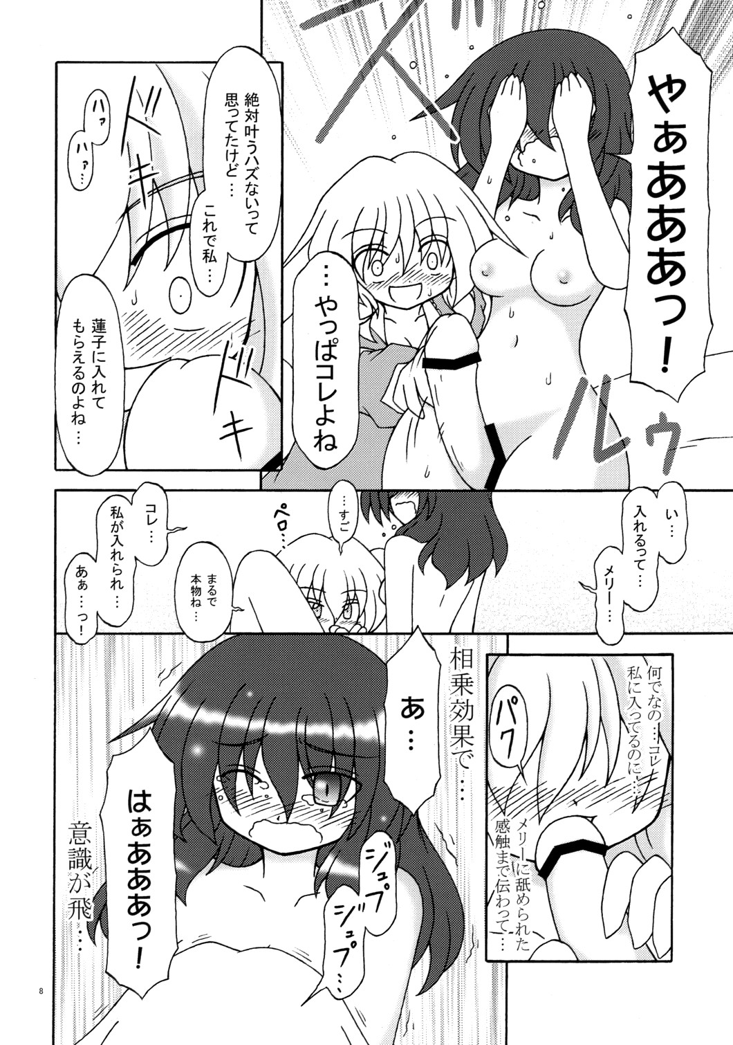 (サンクリ49) [ナナシノ十字星団 (七篠創太)] 秘部に封する危険な遊び (東方Project)