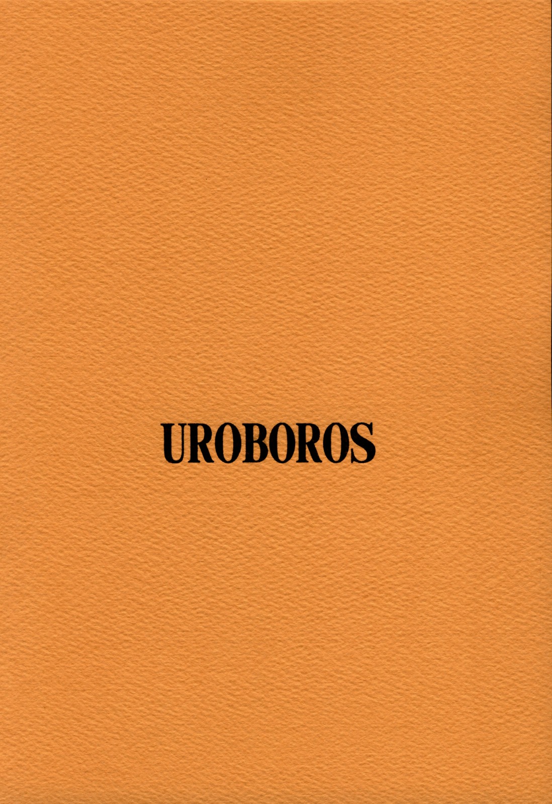 (CR33)[UROBOROS (うたたねひろゆき)] out of order (ガドガード)