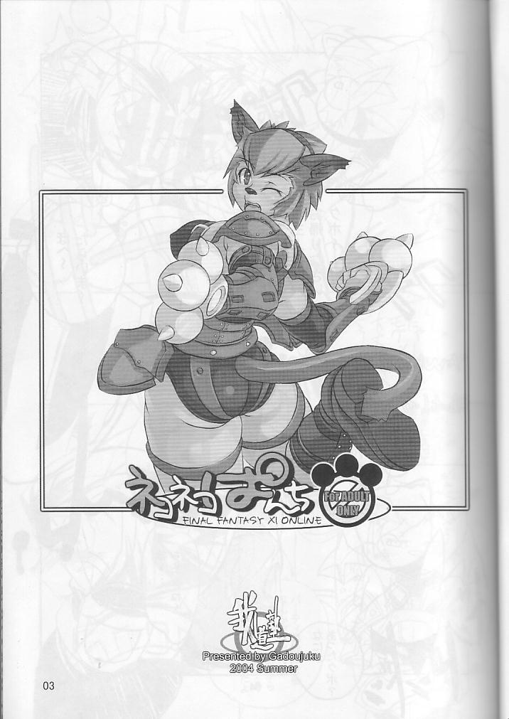 (C66) [我道塾 (かわっちひろひろ)] ネコネコぱんち (ファイナルファンタジー XI)