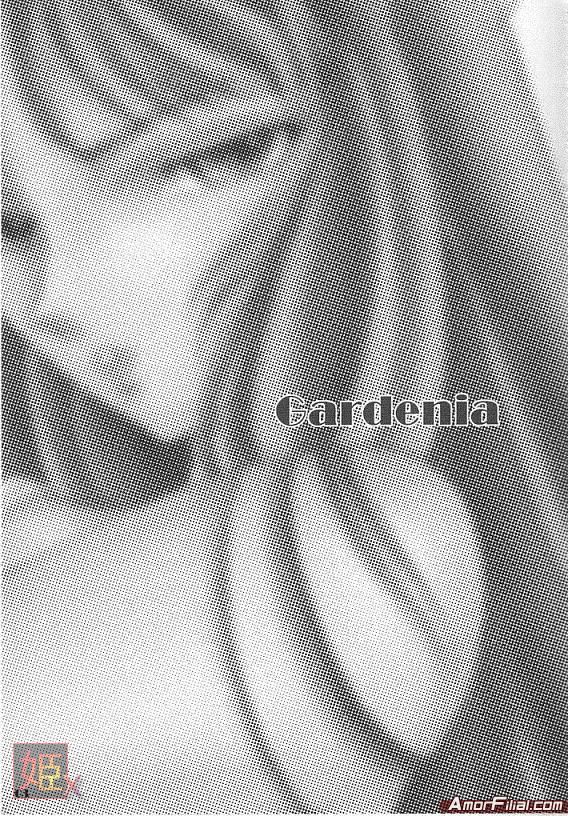 [ももいろリップ (シュガーミルク)] Gardenia (聖闘士星矢)