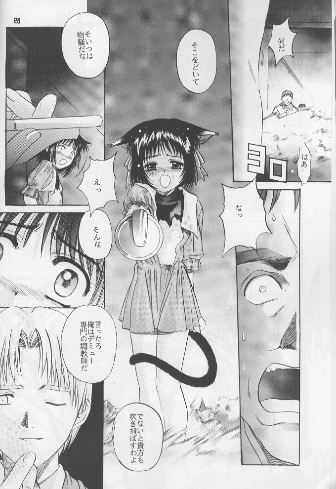 (C60) [自由ヶ丘商店会 (平木直利)] 瑠璃 いやらしい子猫のしつけ方 (しびれる大王)