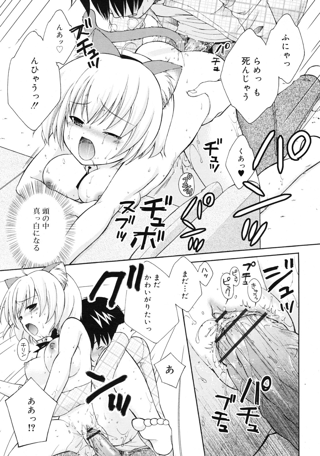 COMIC RiN 2010年12月号