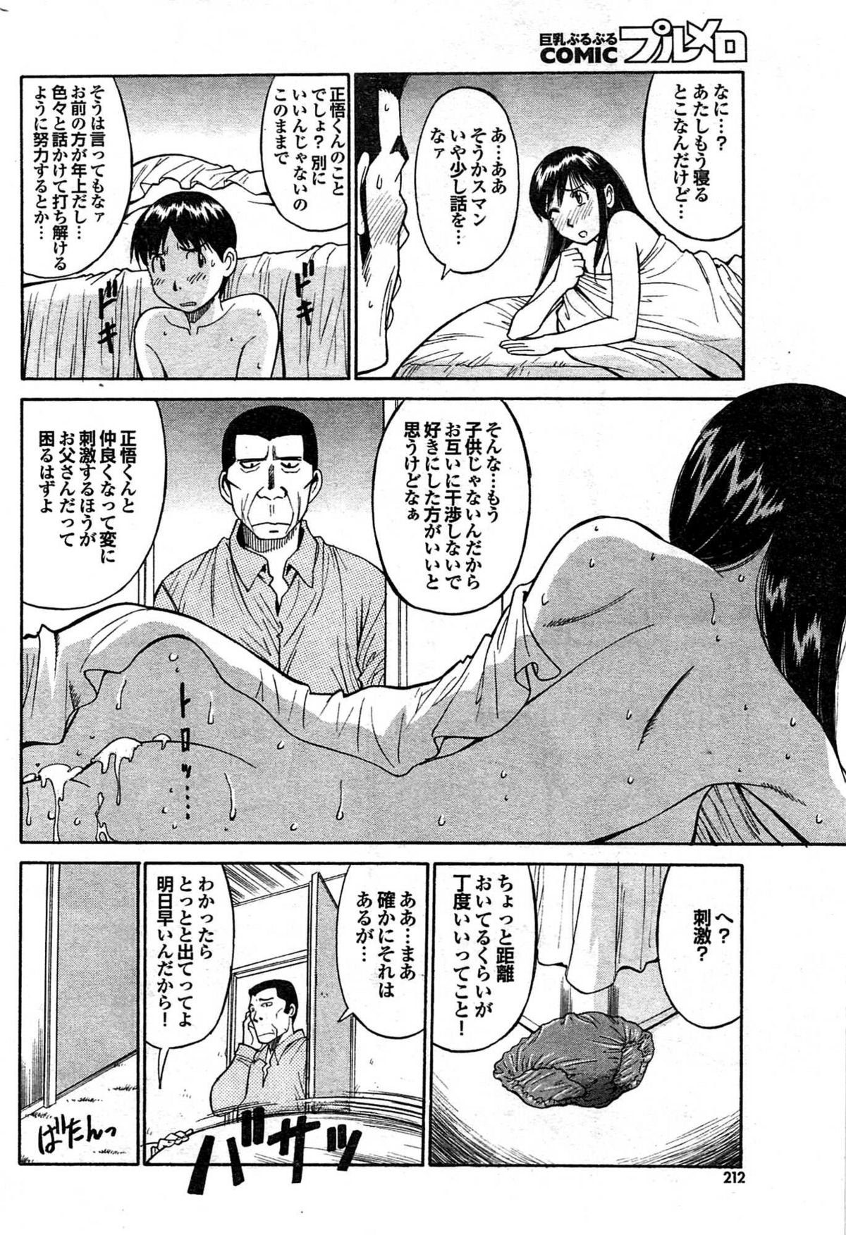 COMIC プルメロ 2008年03月号 vol.15