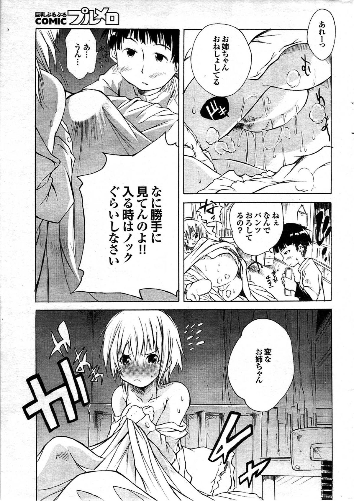 COMIC プルメロ 2008年03月号 vol.15