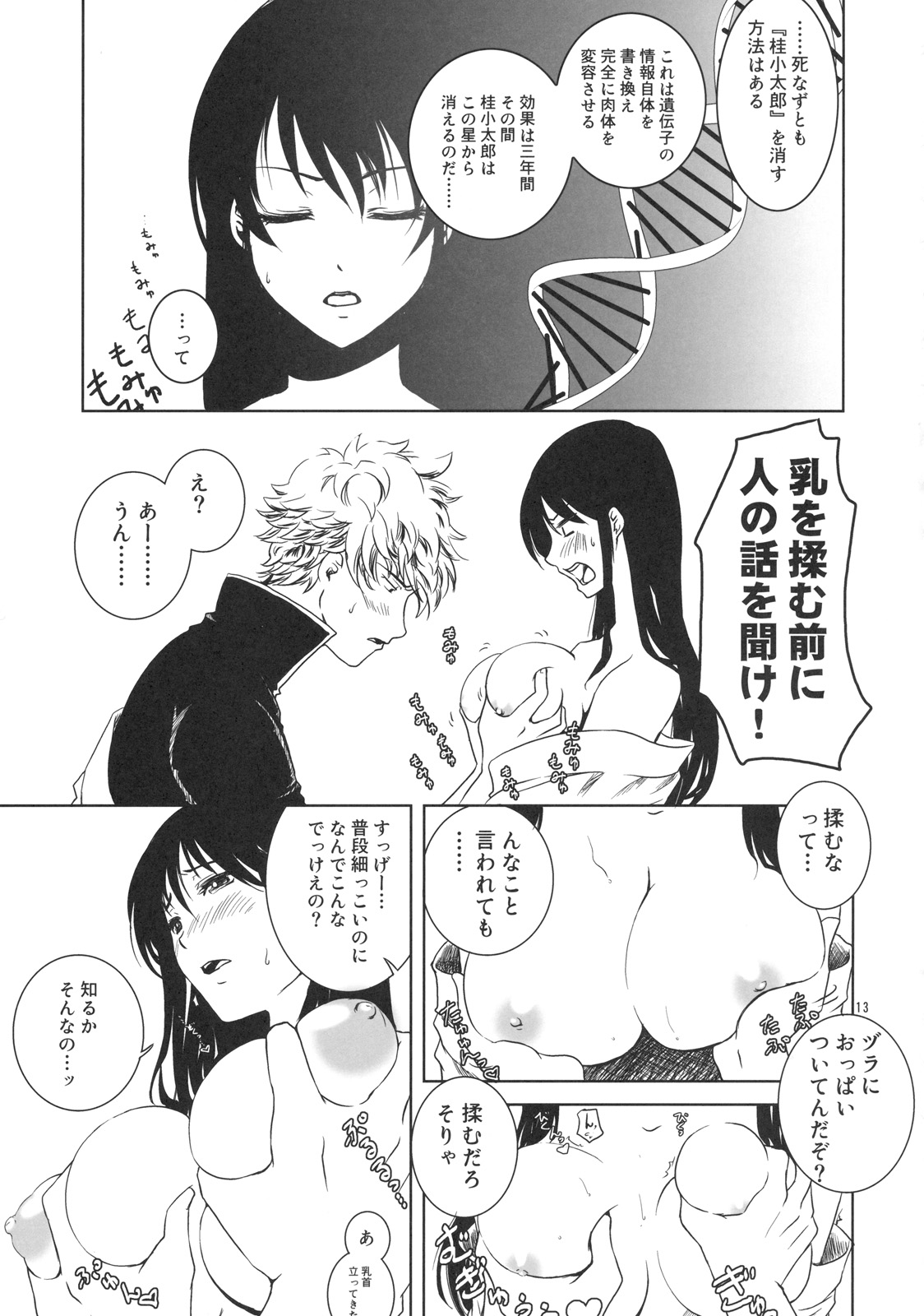 (C76) [硝石堂] 幼なじみを孕ませるたった一つの冴えたやりかた (銀魂) (女性向)