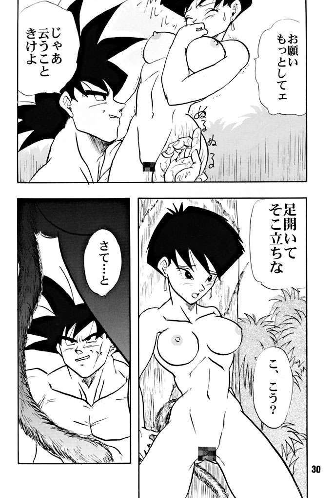 (C51) [ちり紙小屋 , ふすま御殿 (障子張子)] ZZZ (ドラゴンボール)