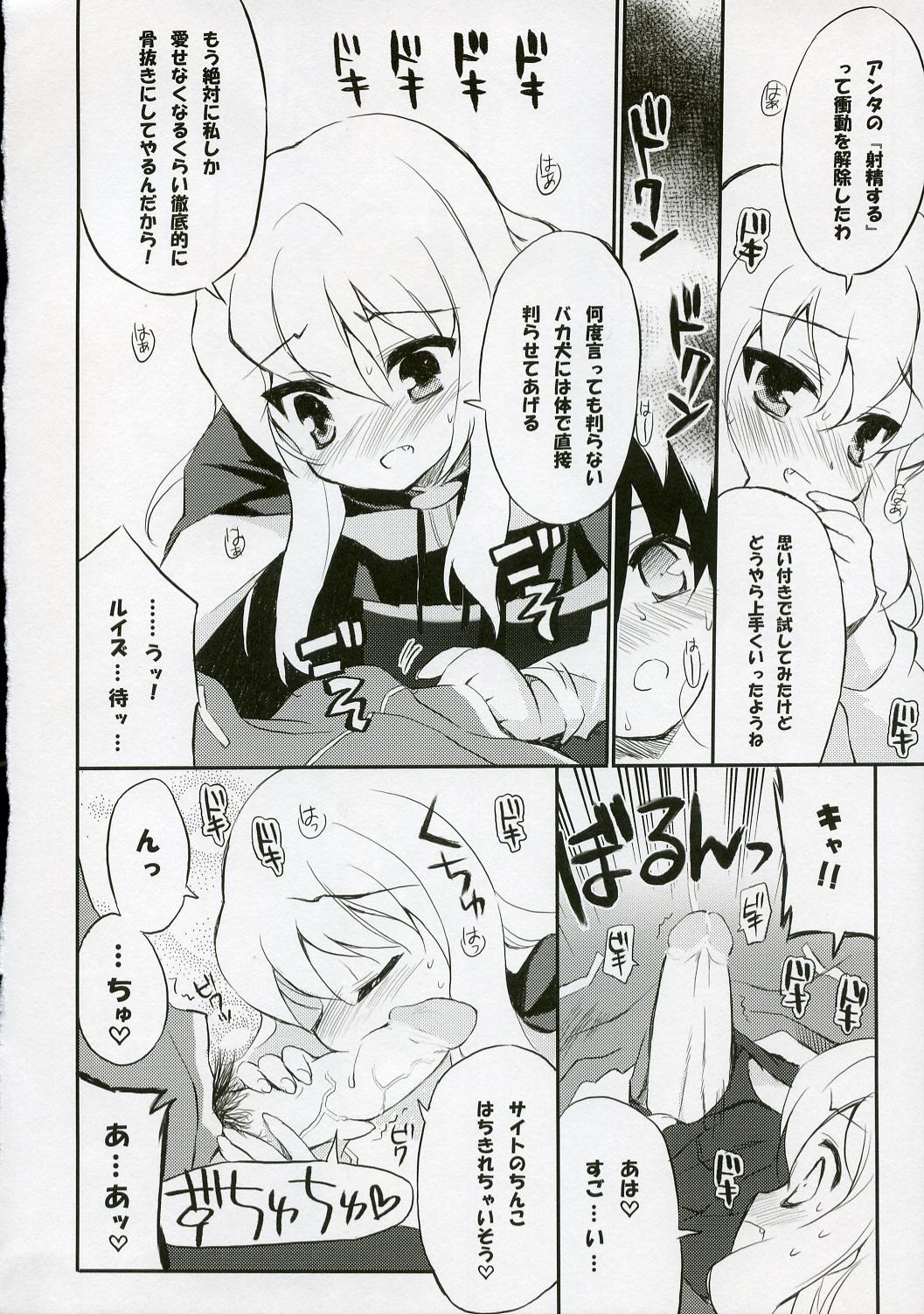 (C72) [ぶらっくしゃど～ (さっち)] BS#12 ルイズとまたアソボ (ゼロの使い魔)