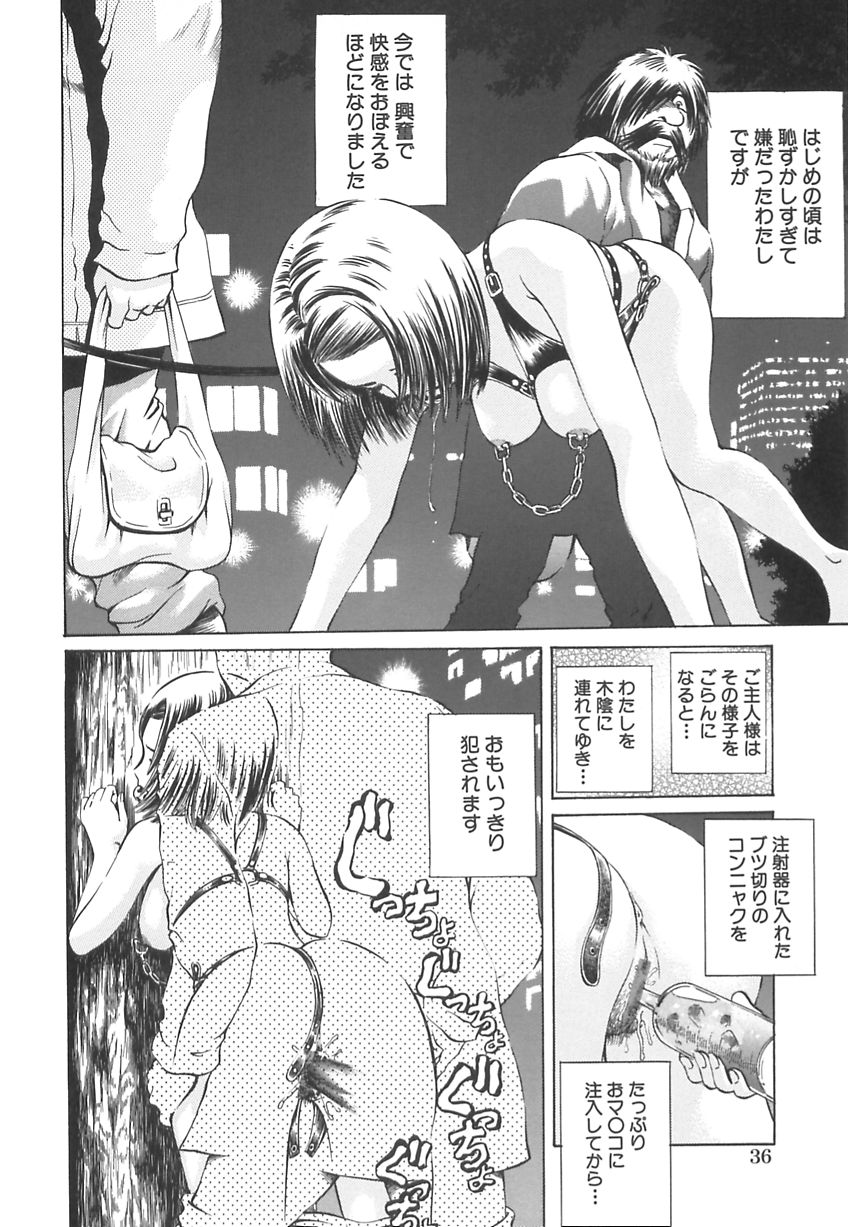 [ぺるそな] 王様と女奴隷