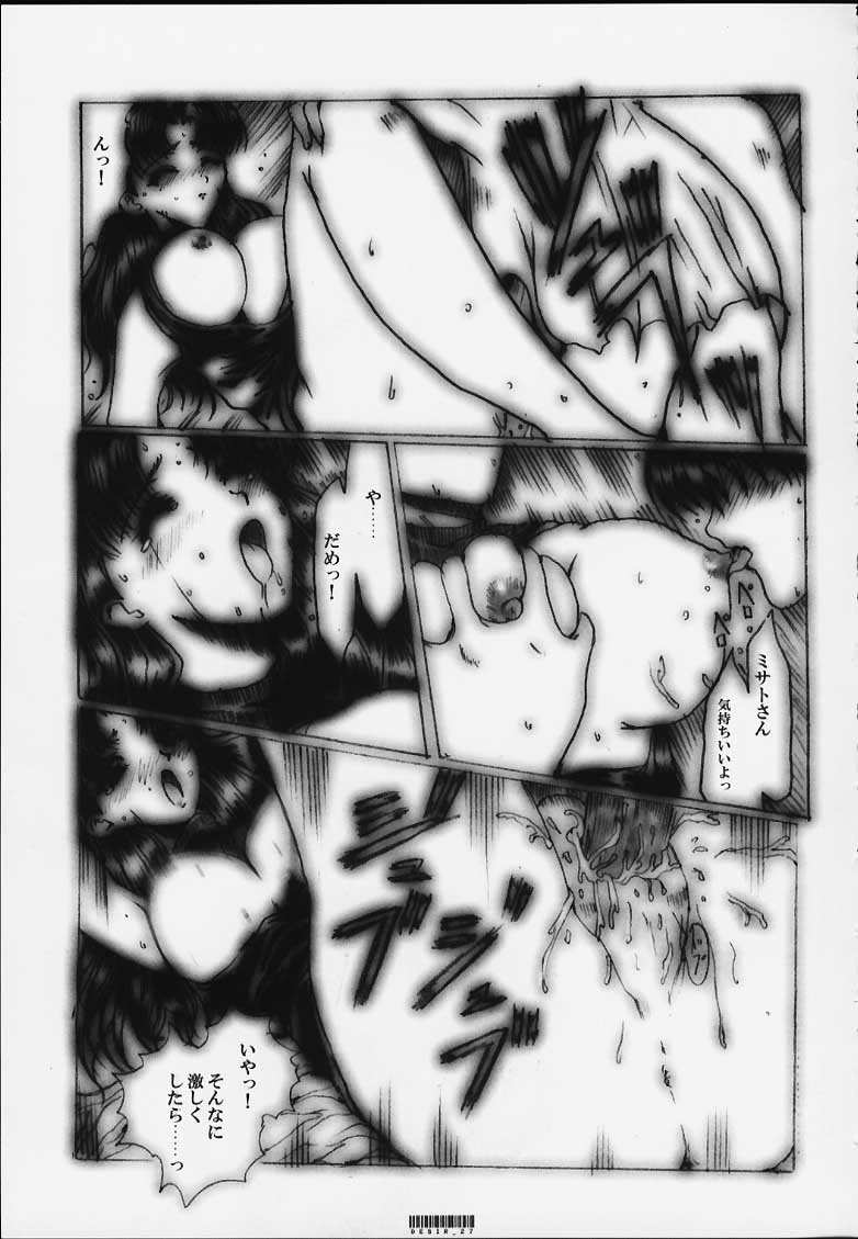 [ねことはと (鳩矢豆七)] Désir - 欲望の果て - 改訂版 (新世紀エヴァンゲリオン)