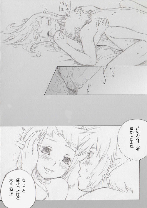 [ぶっちぃ] リンクとゼルダの…