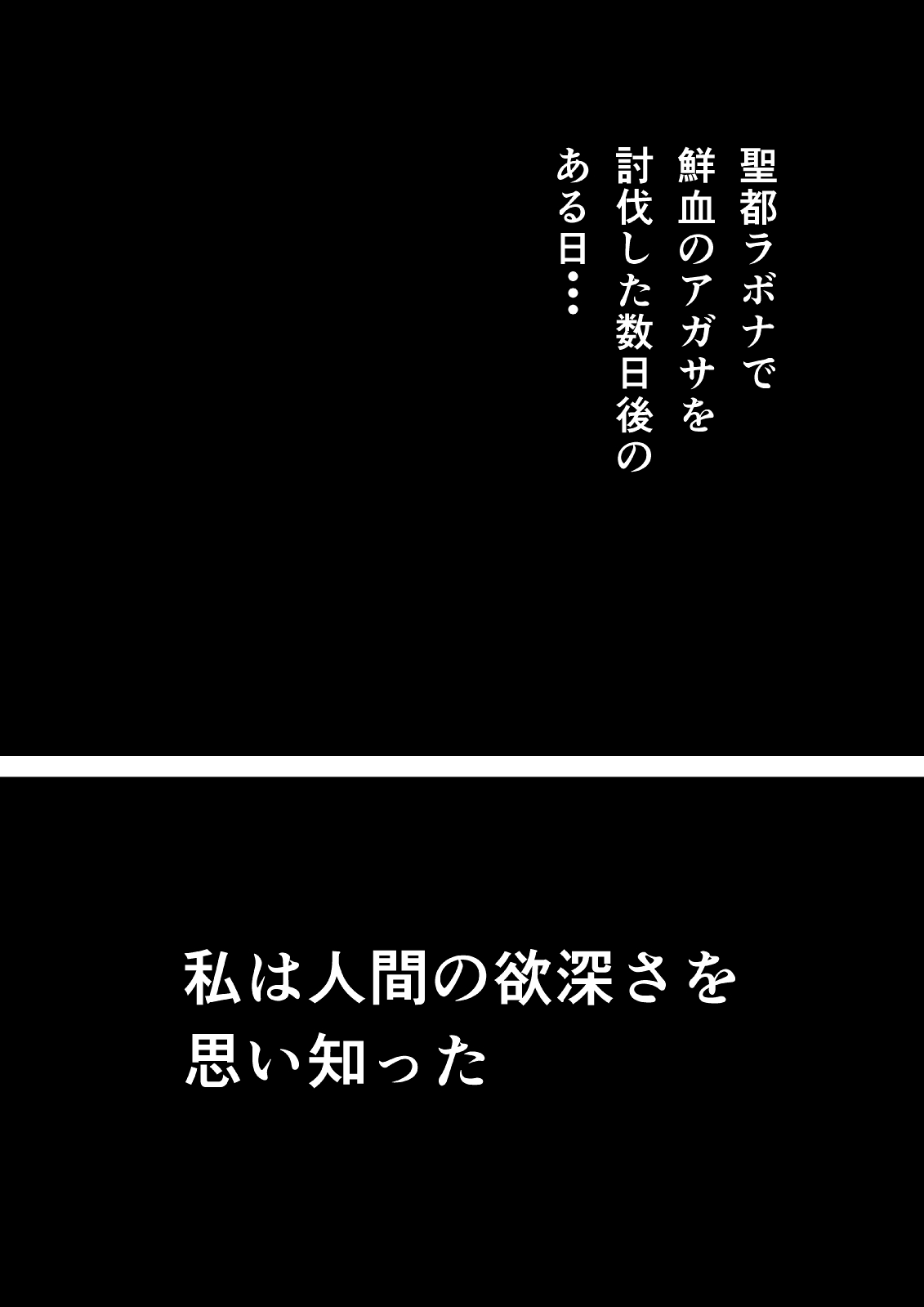 [ハチノス] Ce0 嵌められた幻影 (クレイモア) [DL版]