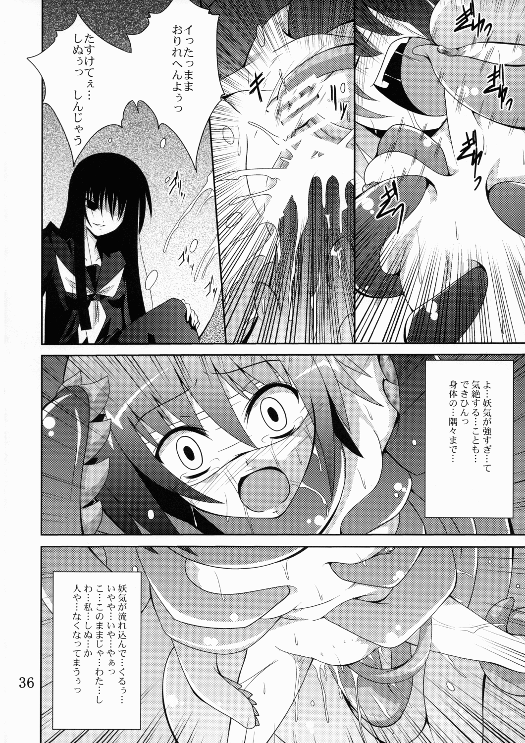 (C78) [夜の勉強会 (ふみひろ)] あやかし狐 二 (ぬらりひょんの孫)