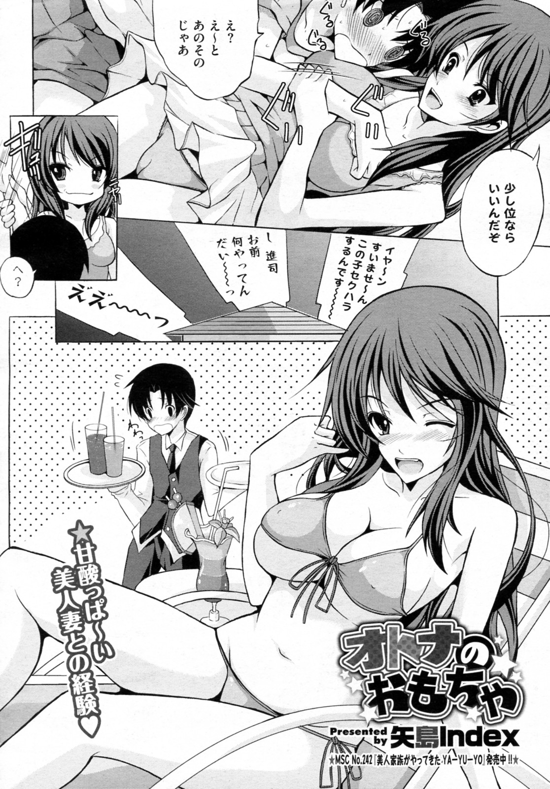 [矢島Index] オトナのおもちゃ (COMIC メガストアH 2010年12月号)