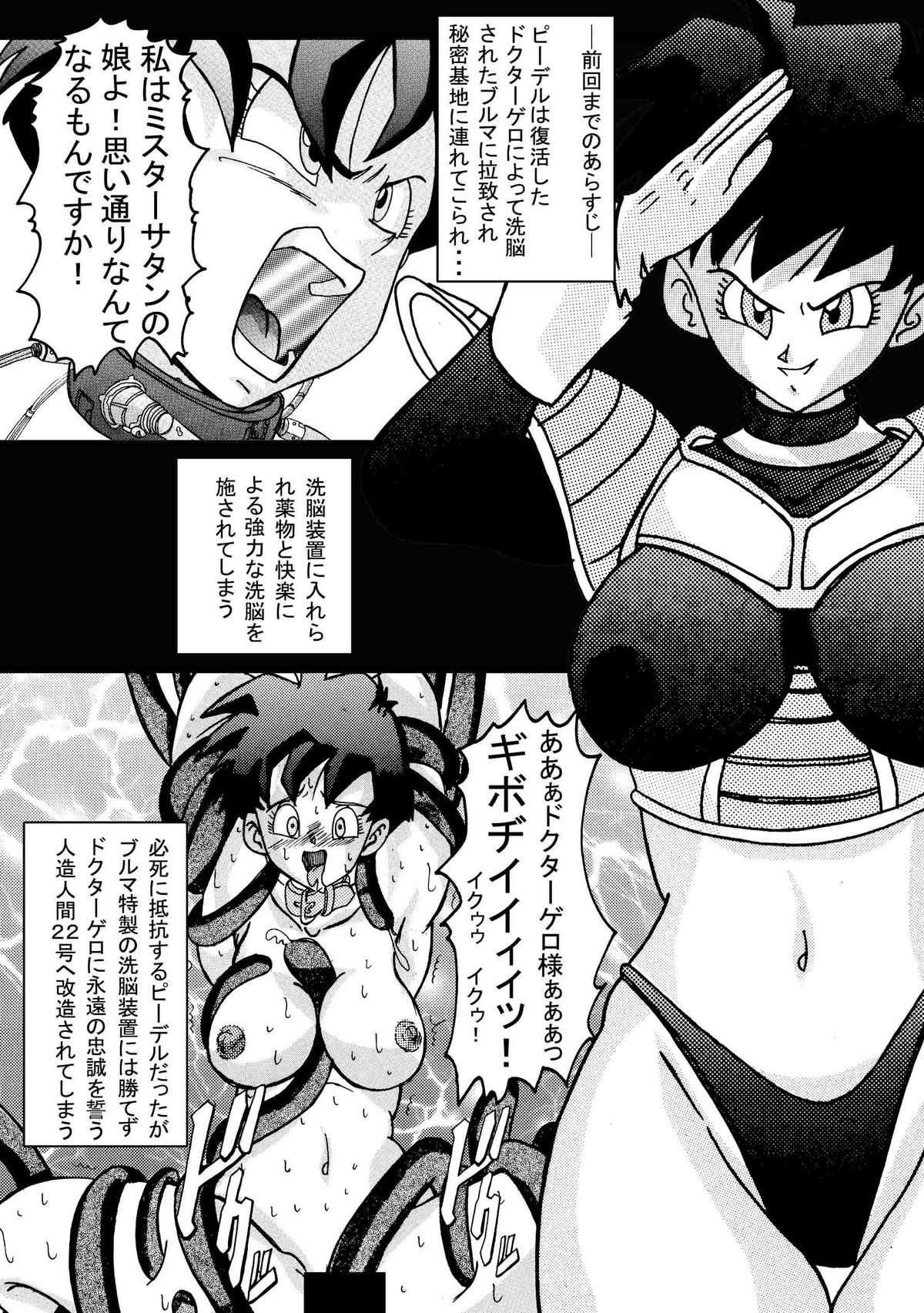 [ライト・レイト・ポート・ピンク] 誕生!!悪の女三戦士 イレーザ・チチ・ランチ洗脳改造計画 (ドラゴンボールZ)