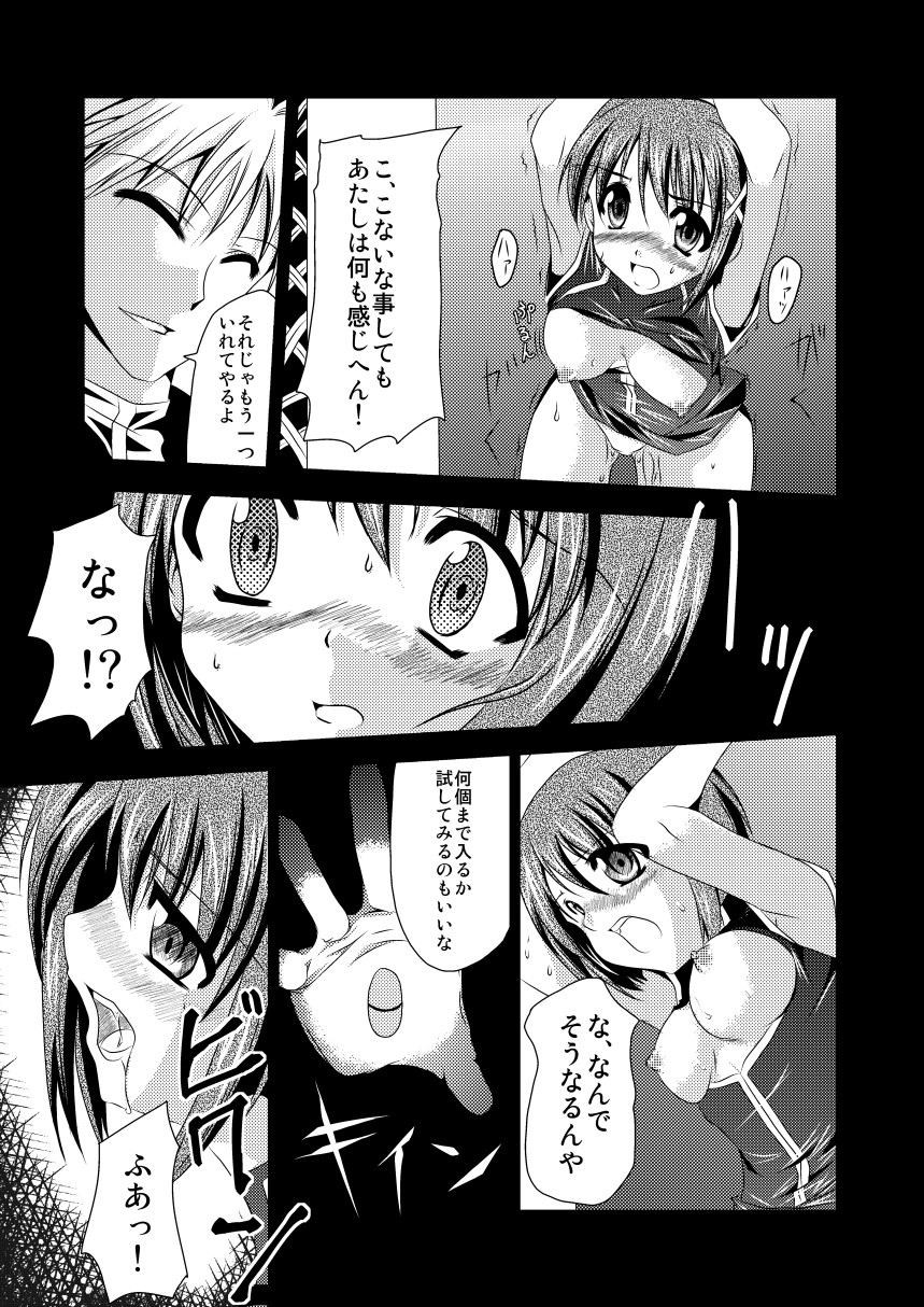 (COMIC1☆2) [TRICKorTREAT (神楽つくね)] InSulT I (魔法少女リリカルなのは)