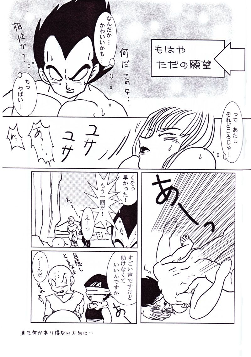 ベジータとブルマの愛（ドラゴンボール）