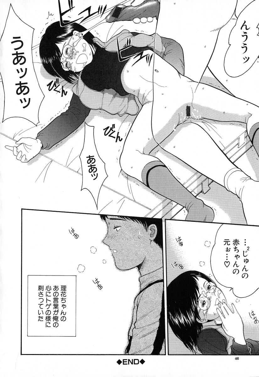 [一市裕納] 小さな彩り