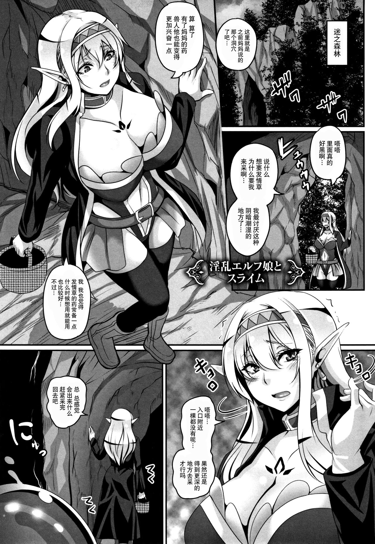 [一弘] 愛嬢の淫辱エルフ [中国翻訳]