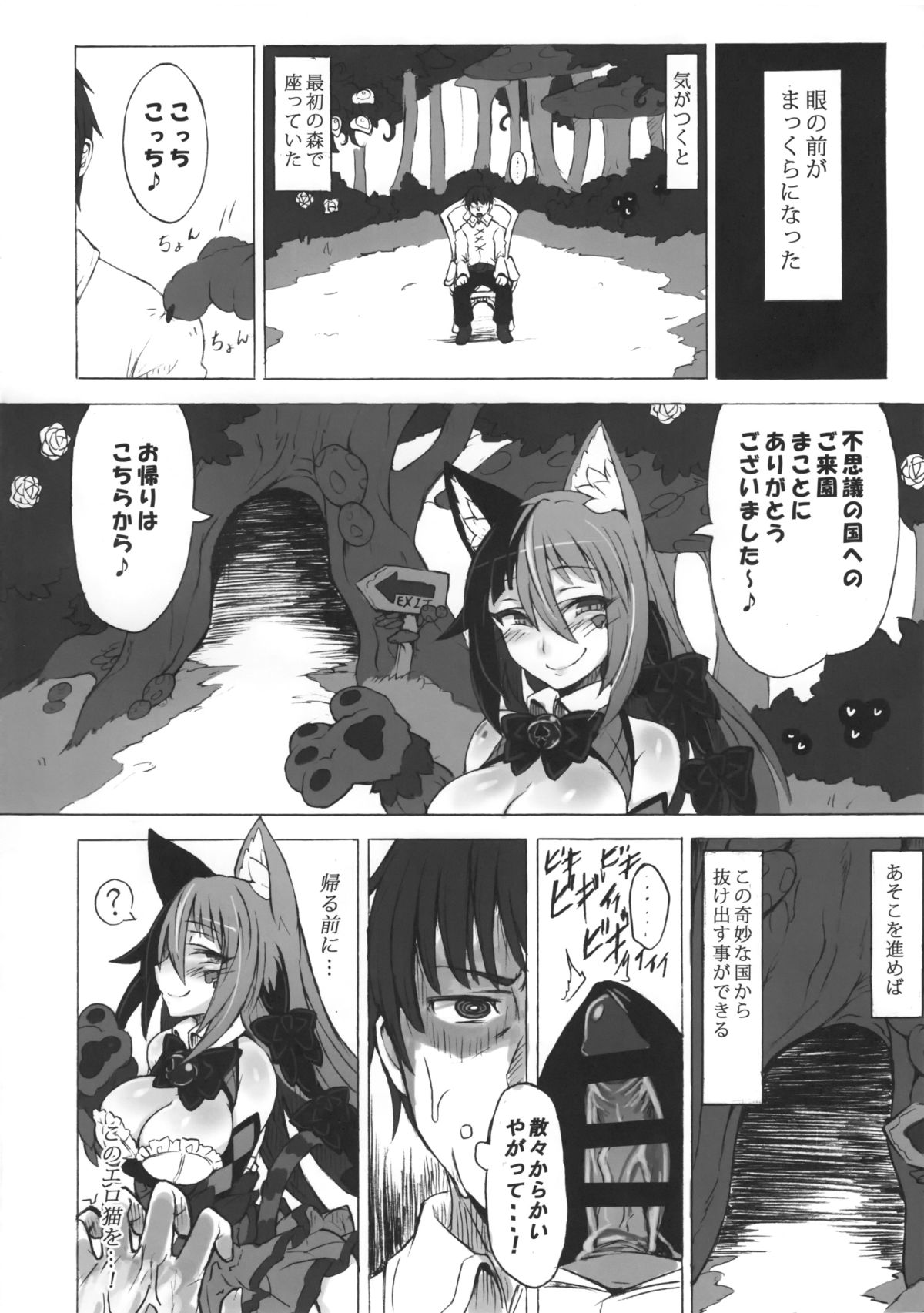 (C89) [クロビネガ (健康クロス)] 魔物娘図鑑・被害報告 ～チェシャ猫のおいでませ不思議の国～