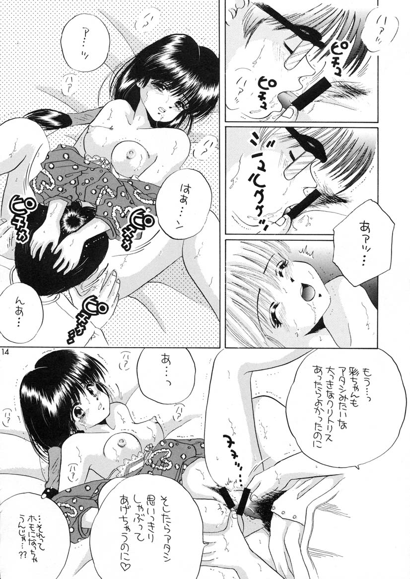 (C60) [ひみつ書店 (範松那奈美)] 彩のピンクハウスエロ本 (こみっくパーティー)