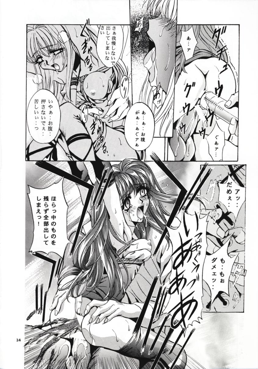 (C54) [スタジオBIG-X (ありのひろし)] SHADOW CANVAS 8 (魔法のステージファンシーララ, 星方武侠アウトロースター)