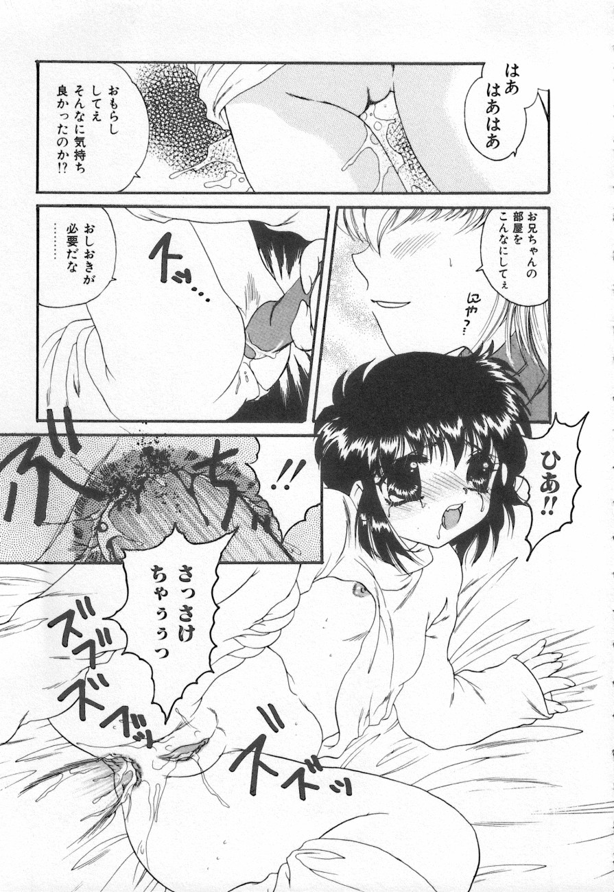 COMIC しりこだま 3