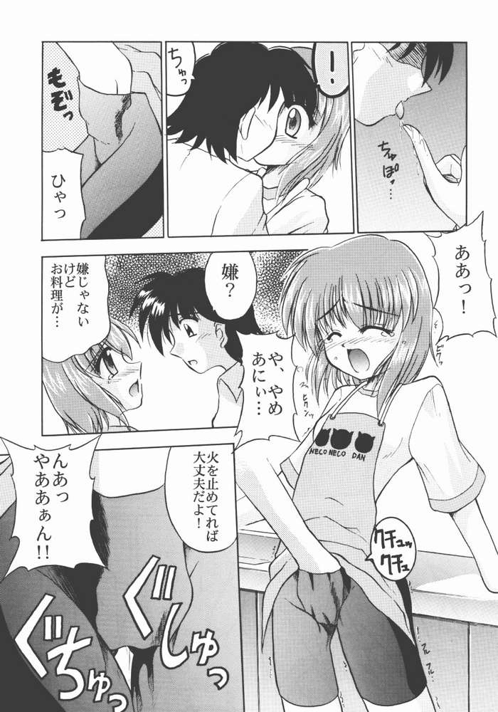 (C62) [ほにょのうち (ほにょ, すずみやかずき)] TWINKLE TWINKLE SISTERS IV (シスタープリンセス)