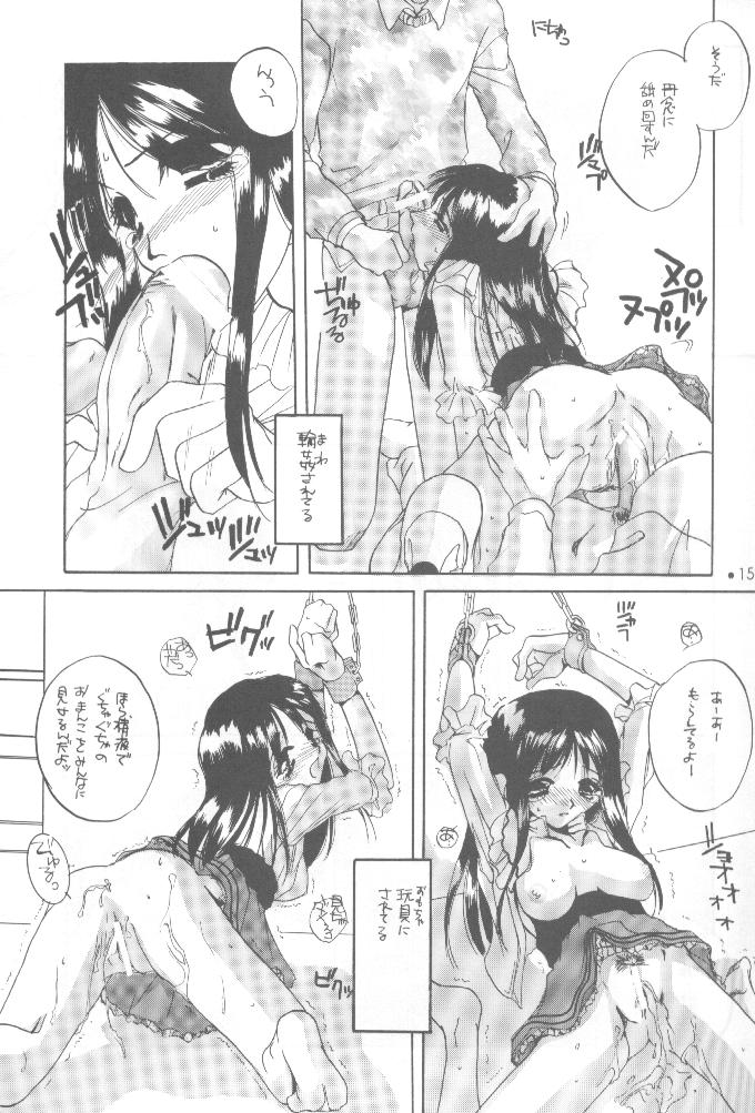 【デジタル恋人】制服王設定資料集