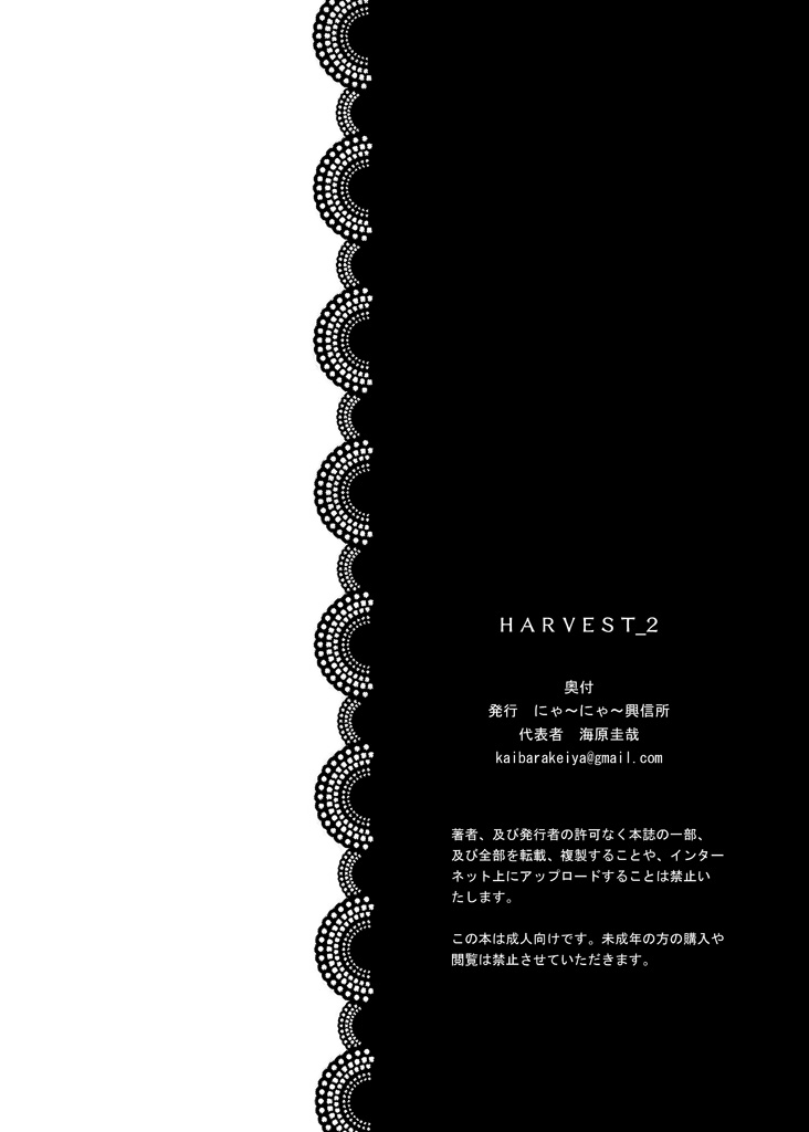 [にゃ～にゃ～興信所 (海原圭哉)] HARVEST 2 (魔法少女リリカルなのは) [DL版]