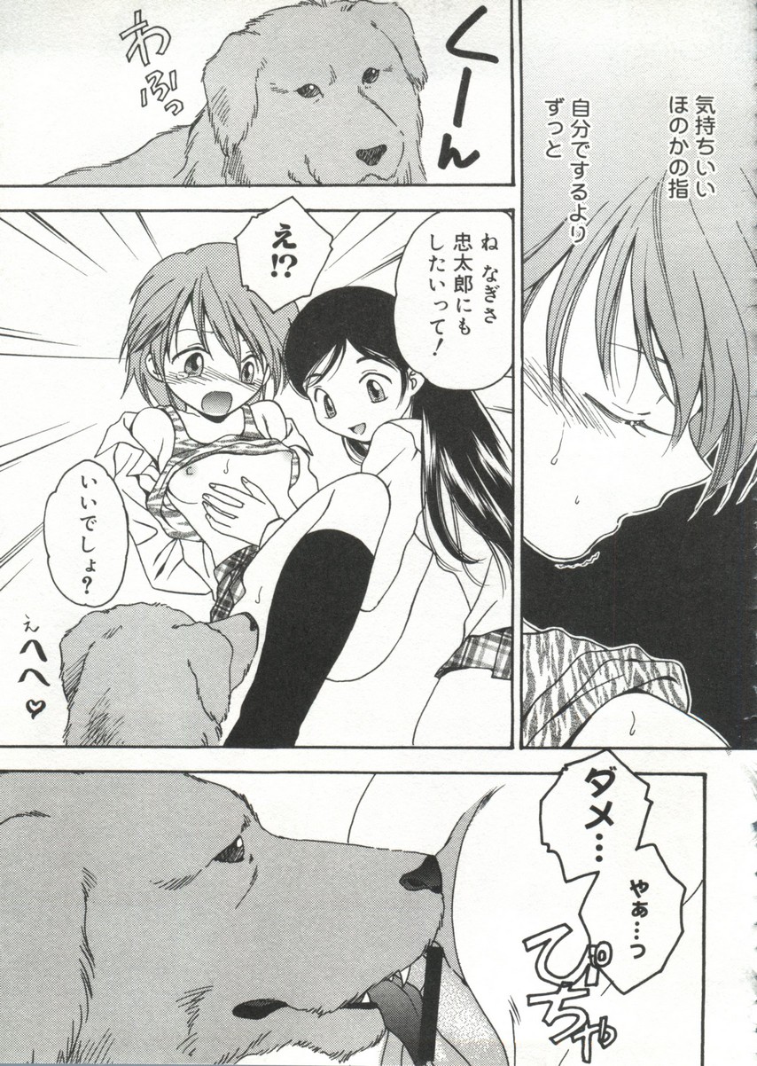 【同人誌アンソロジー】キュアキュアバトル（プリキュア、ゴダンナー、マシンロボレスキュー）