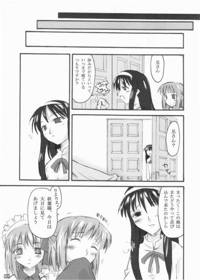 (C65) [しもやけ堂 (よろず)] ゆめねこ (月姫)