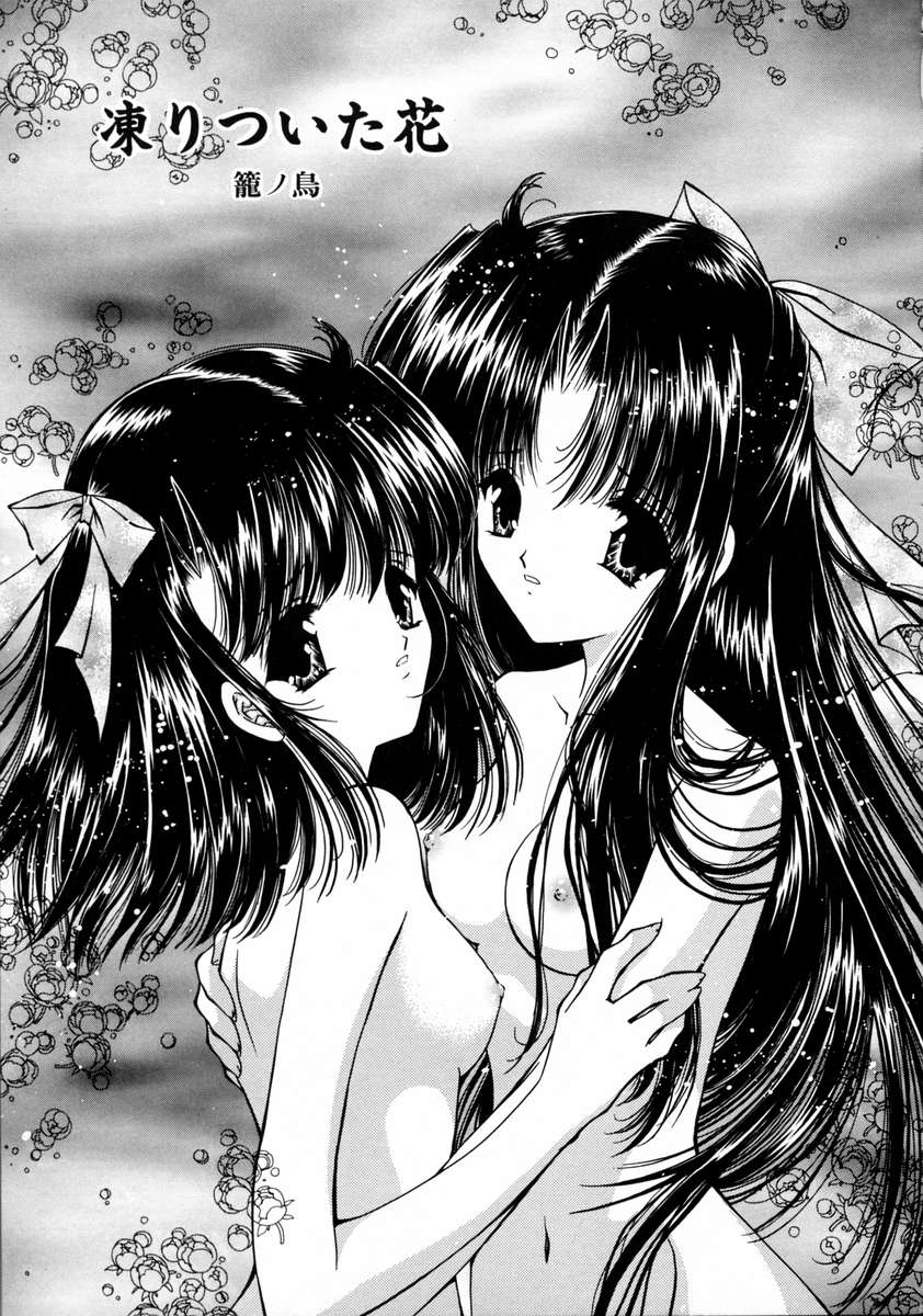 [浦乃まみ] 春うらら