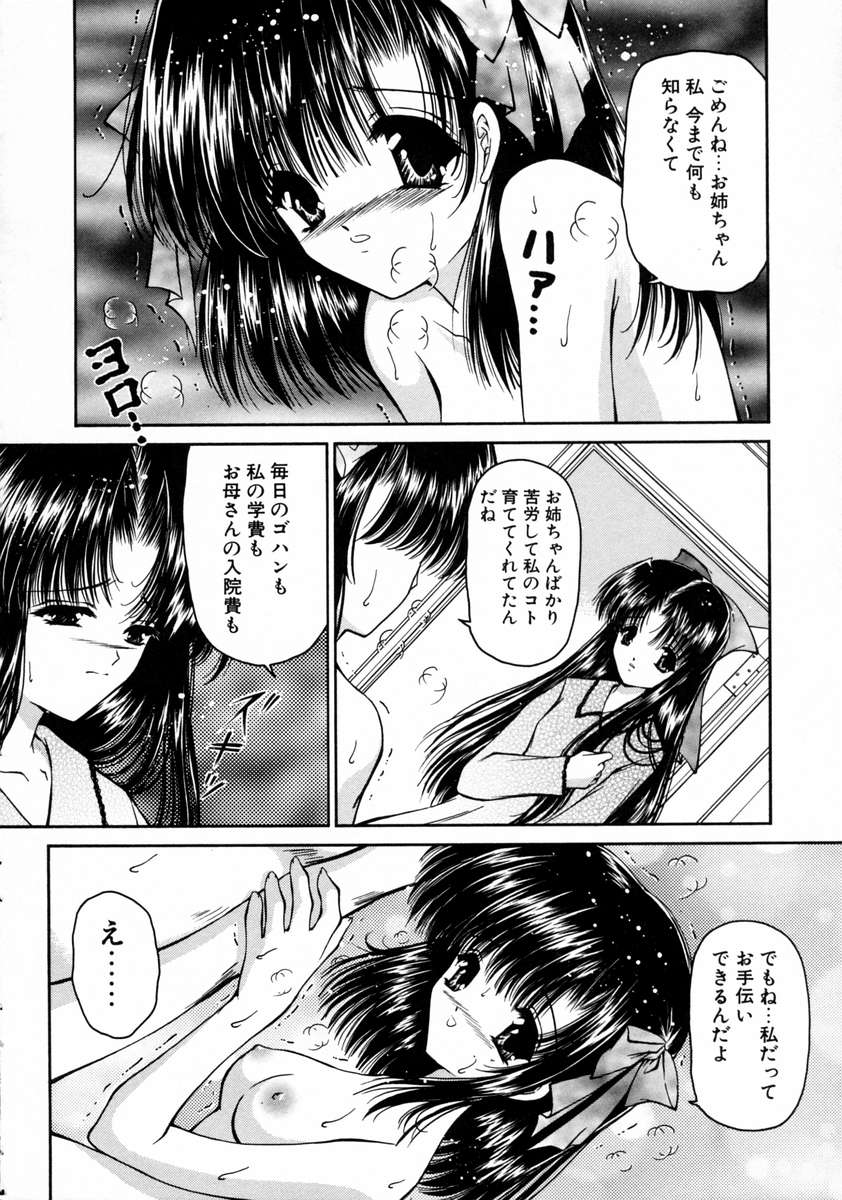 [浦乃まみ] 春うらら