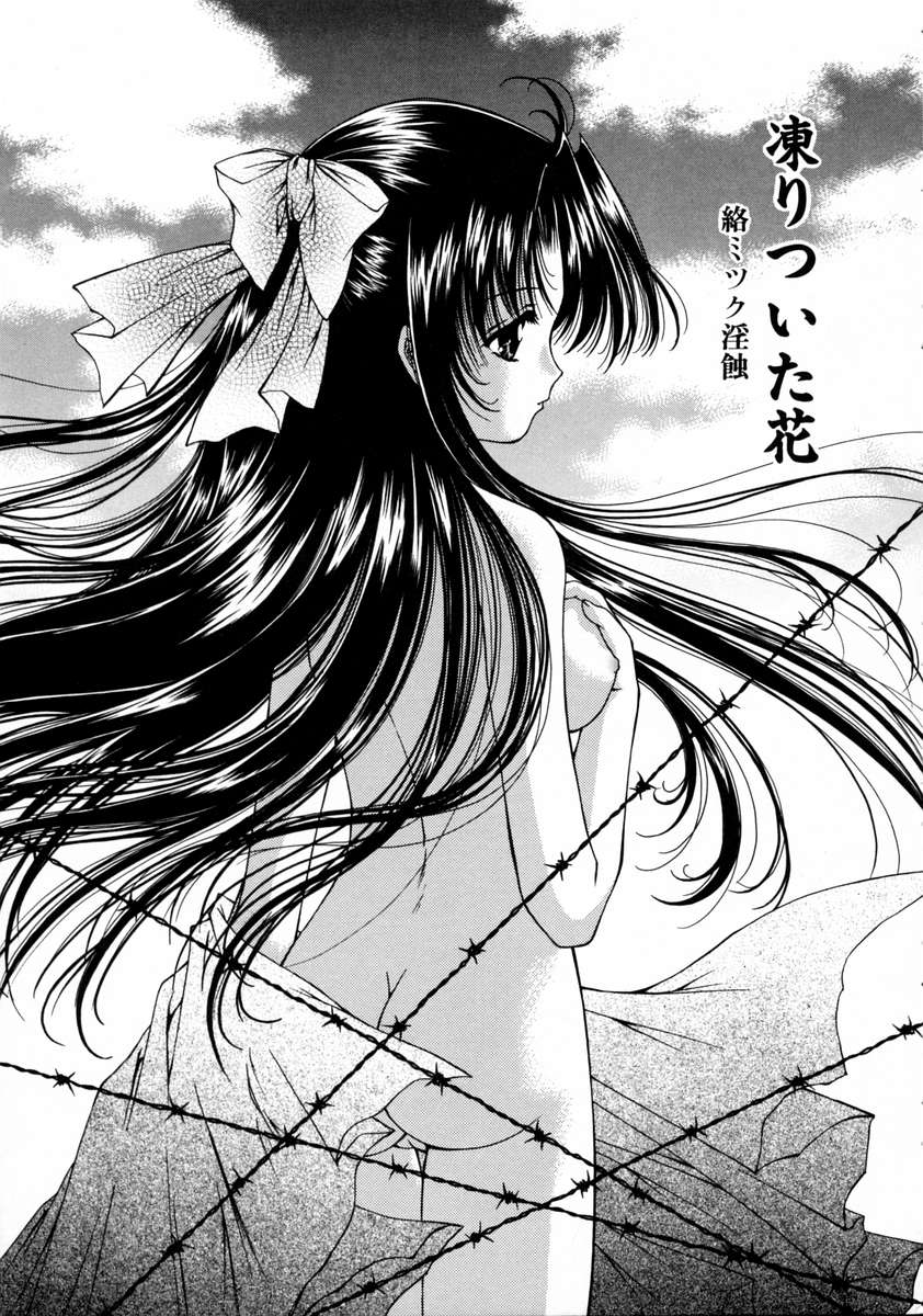 [浦乃まみ] 春うらら